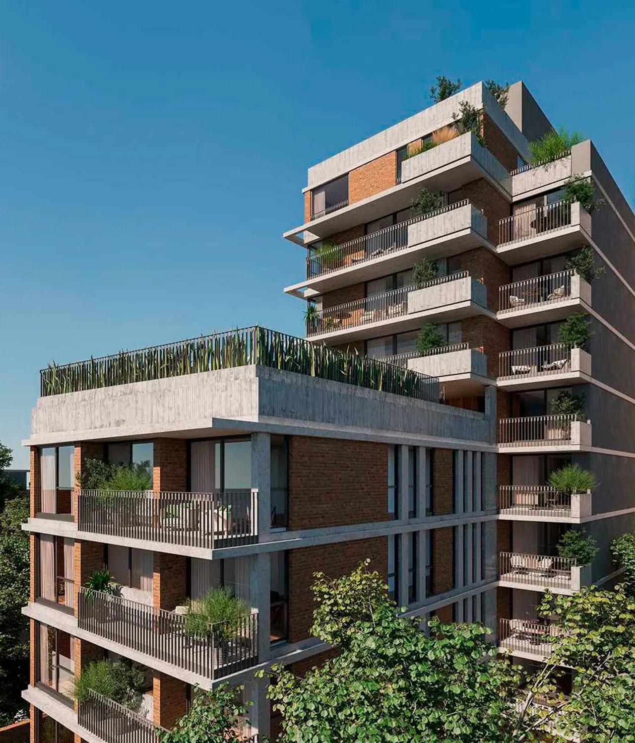 Imagen del emprendimiento NICE - Niceto Vega 5120