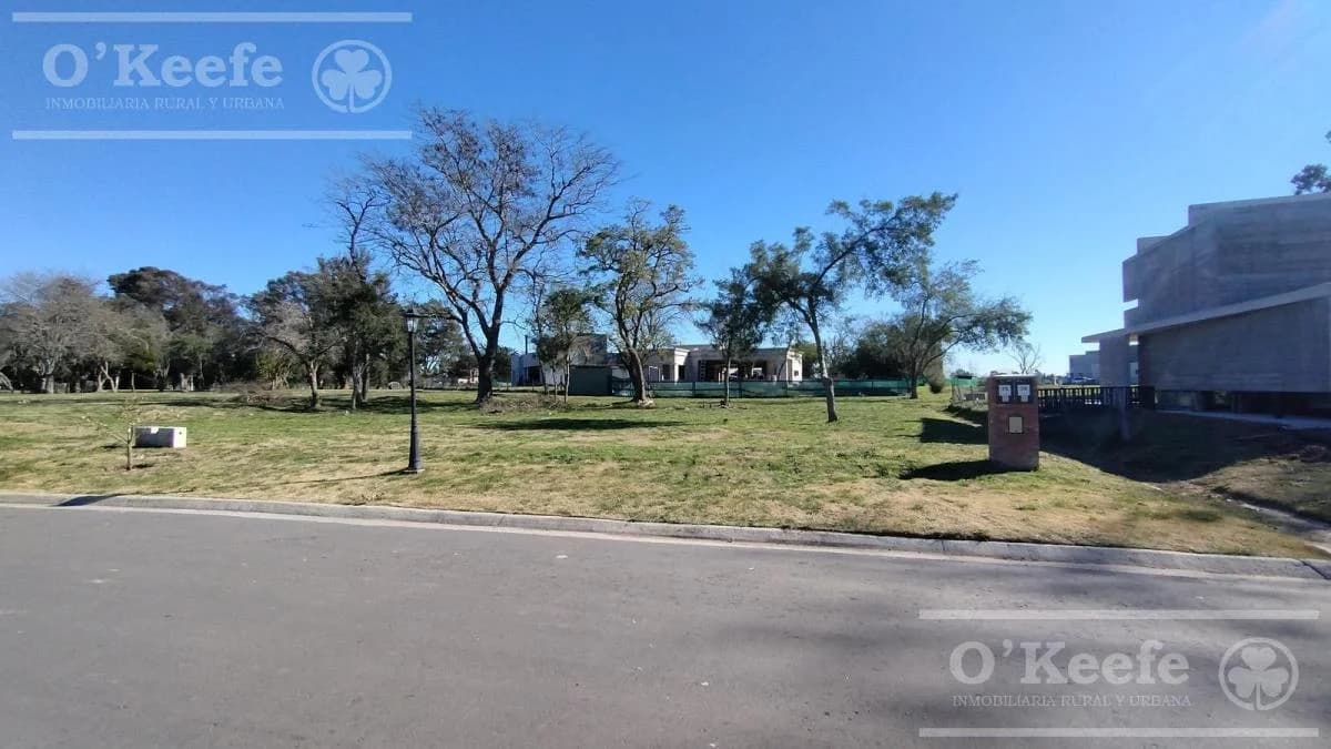 Imagen de la propiedad Unidad ZP 2161568