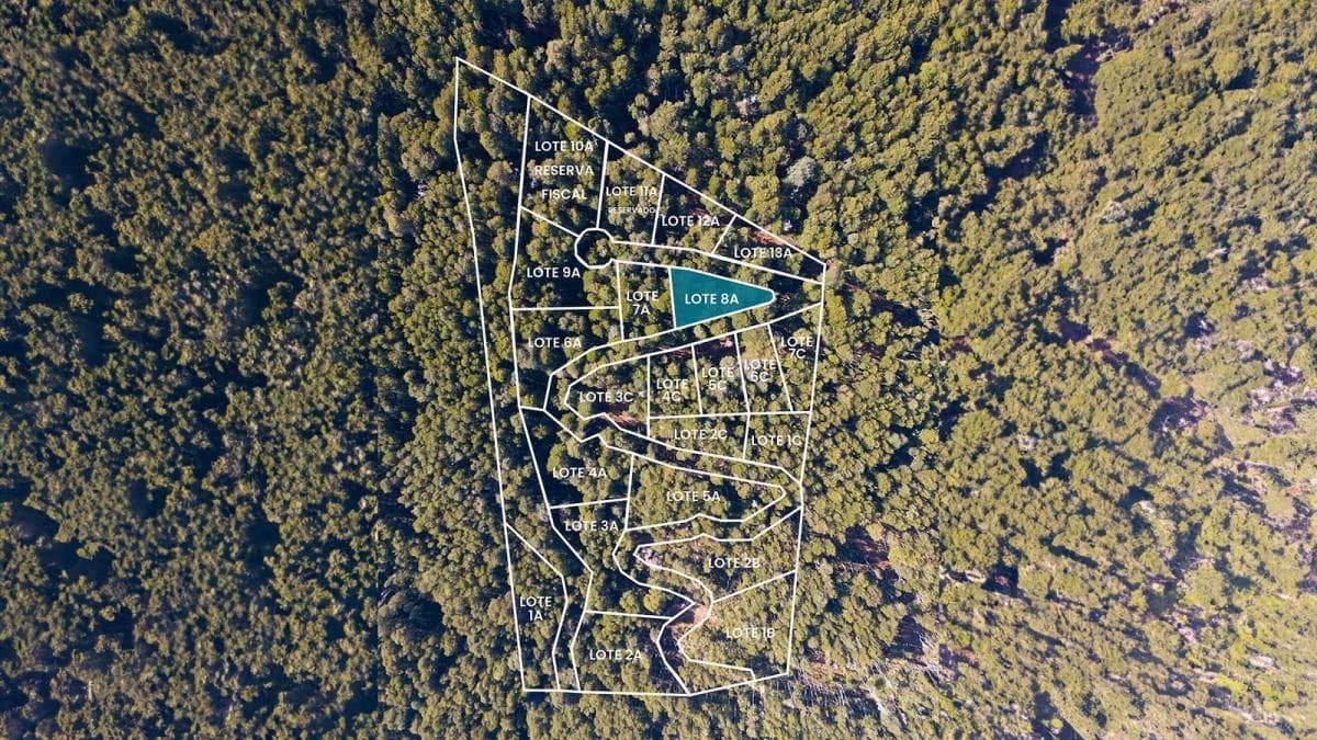 Imagen de la propiedad Unidad ZP 2170378