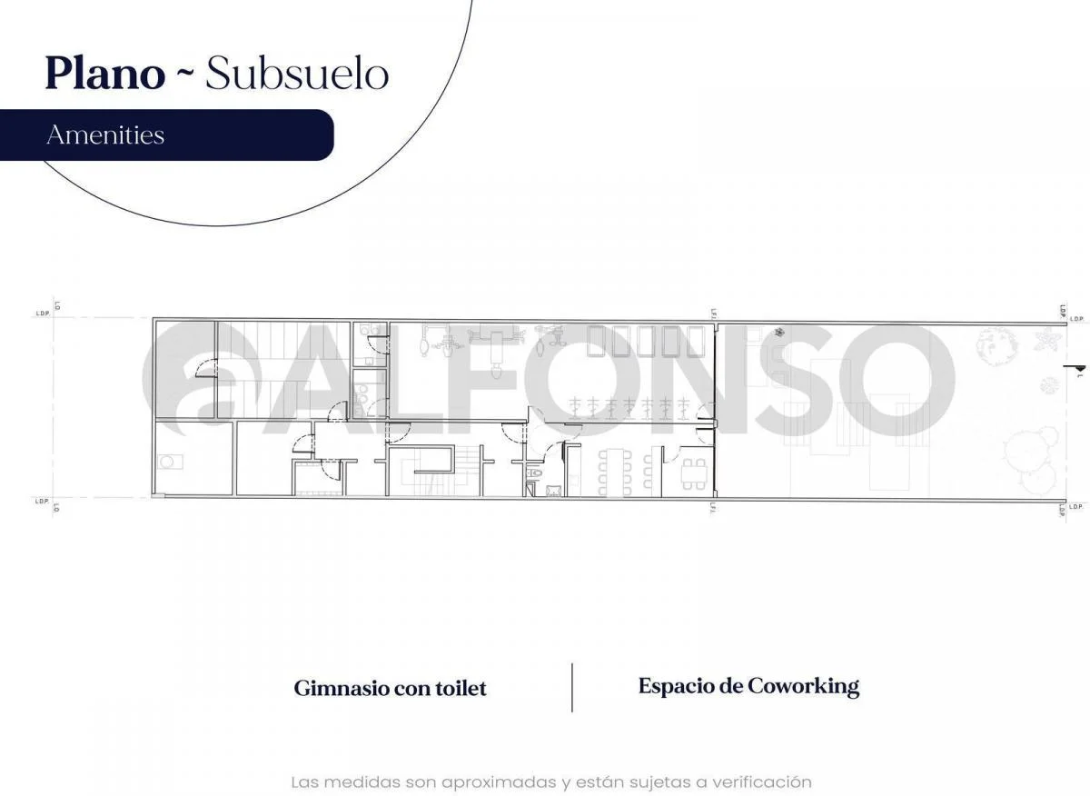Plano del emprendimiento