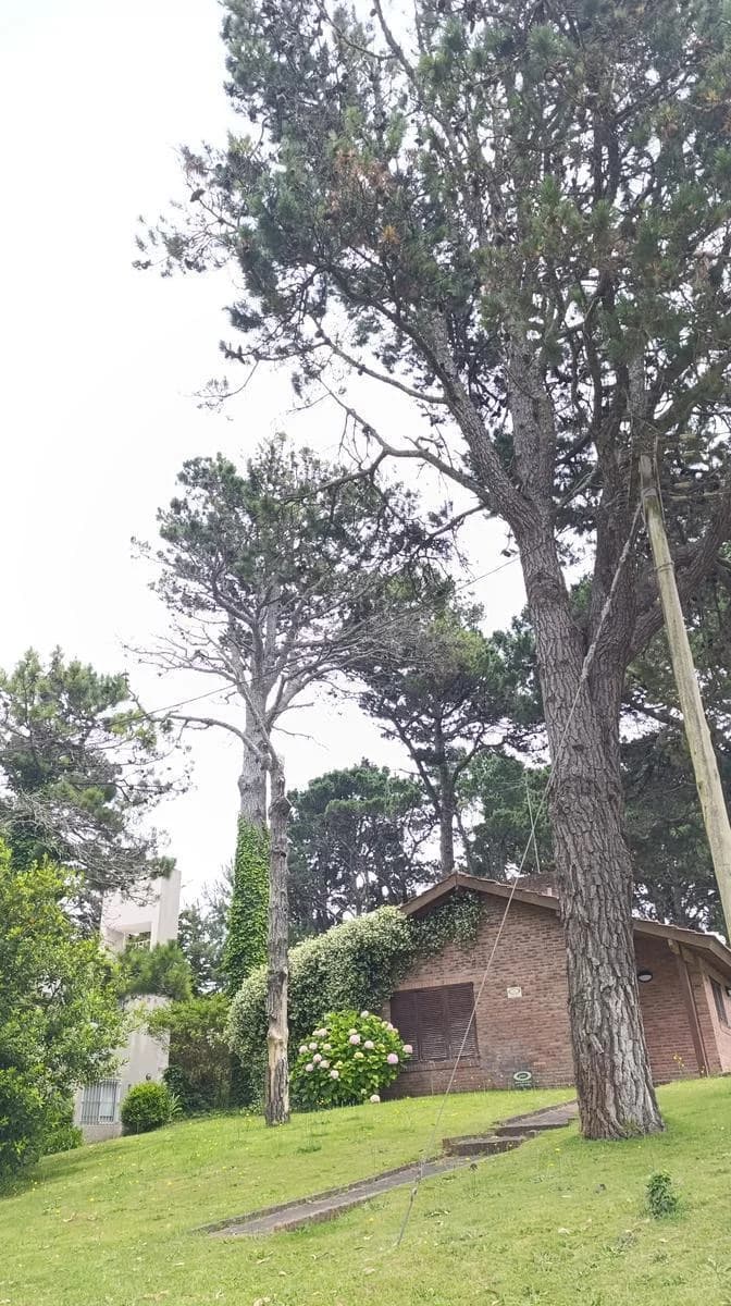 Imagen de la propiedad 2 ambientes ZP 2166048