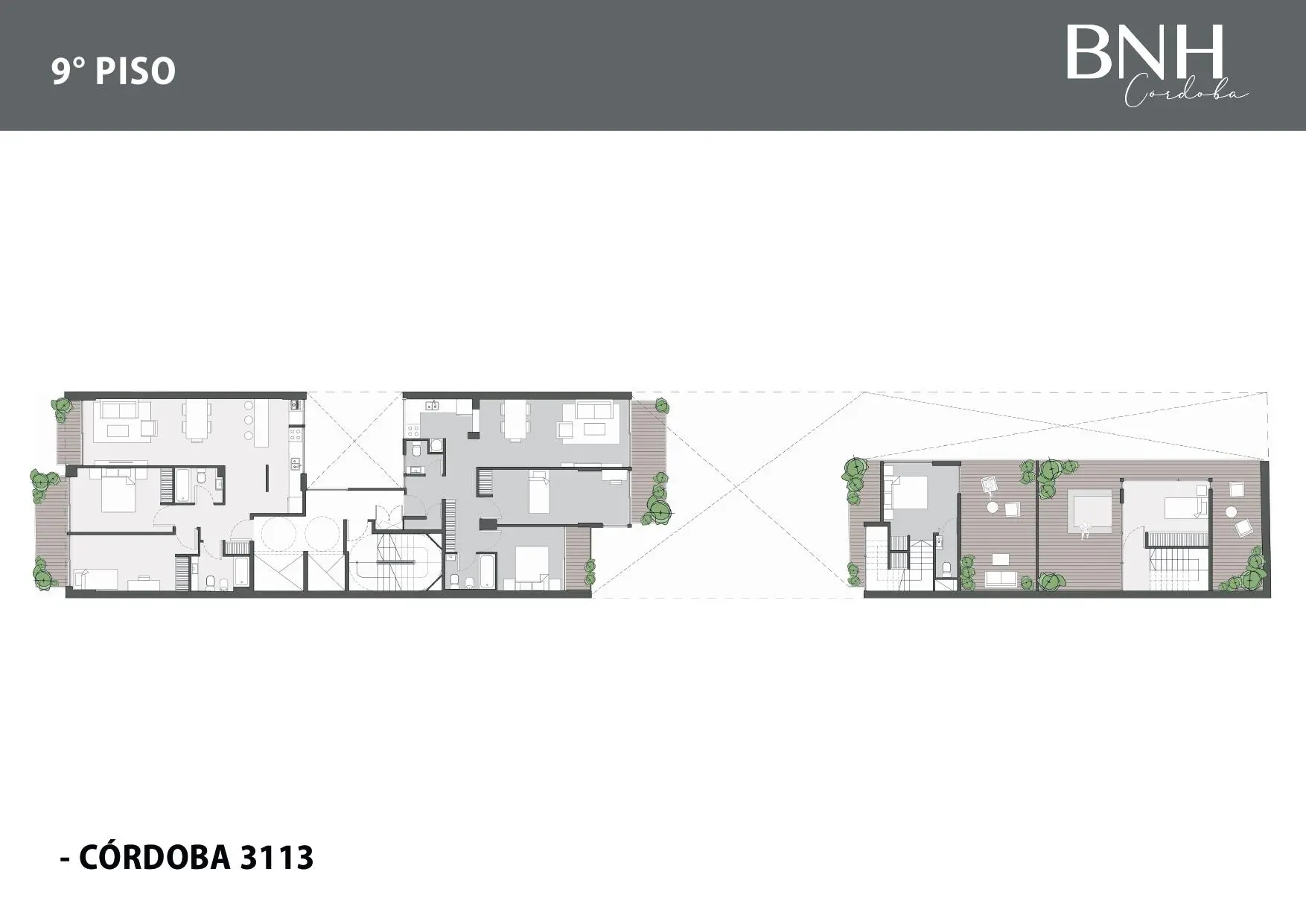 Plano del emprendimiento