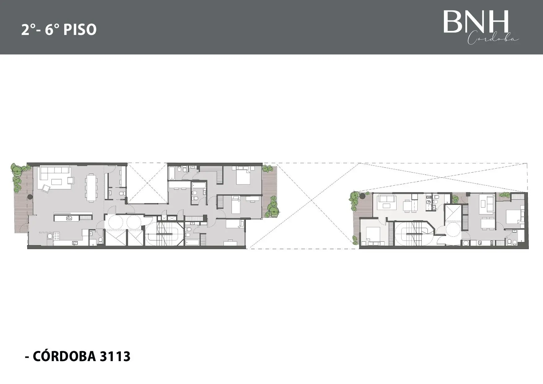 Plano del emprendimiento