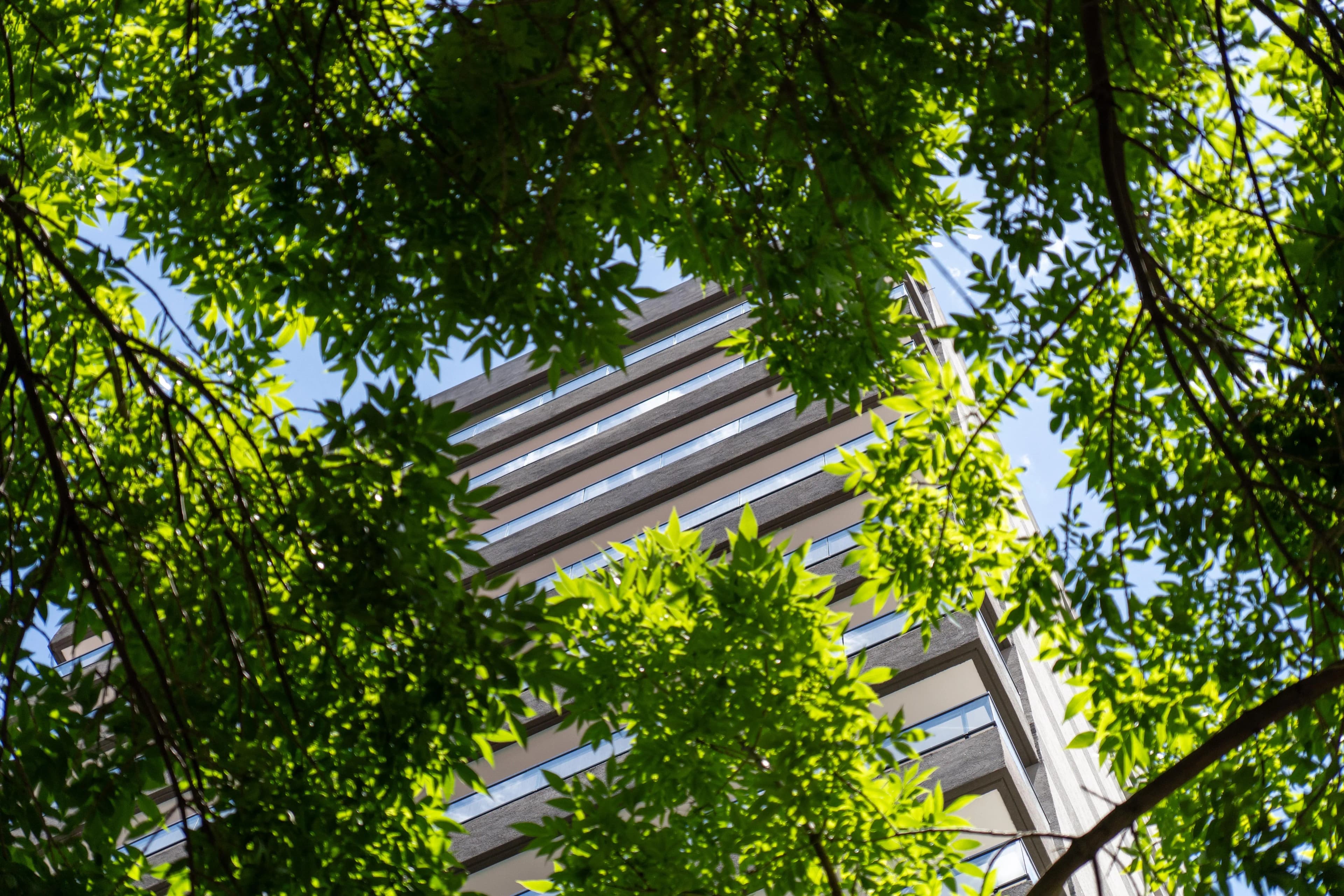 Imagen del emprendimiento en construcción