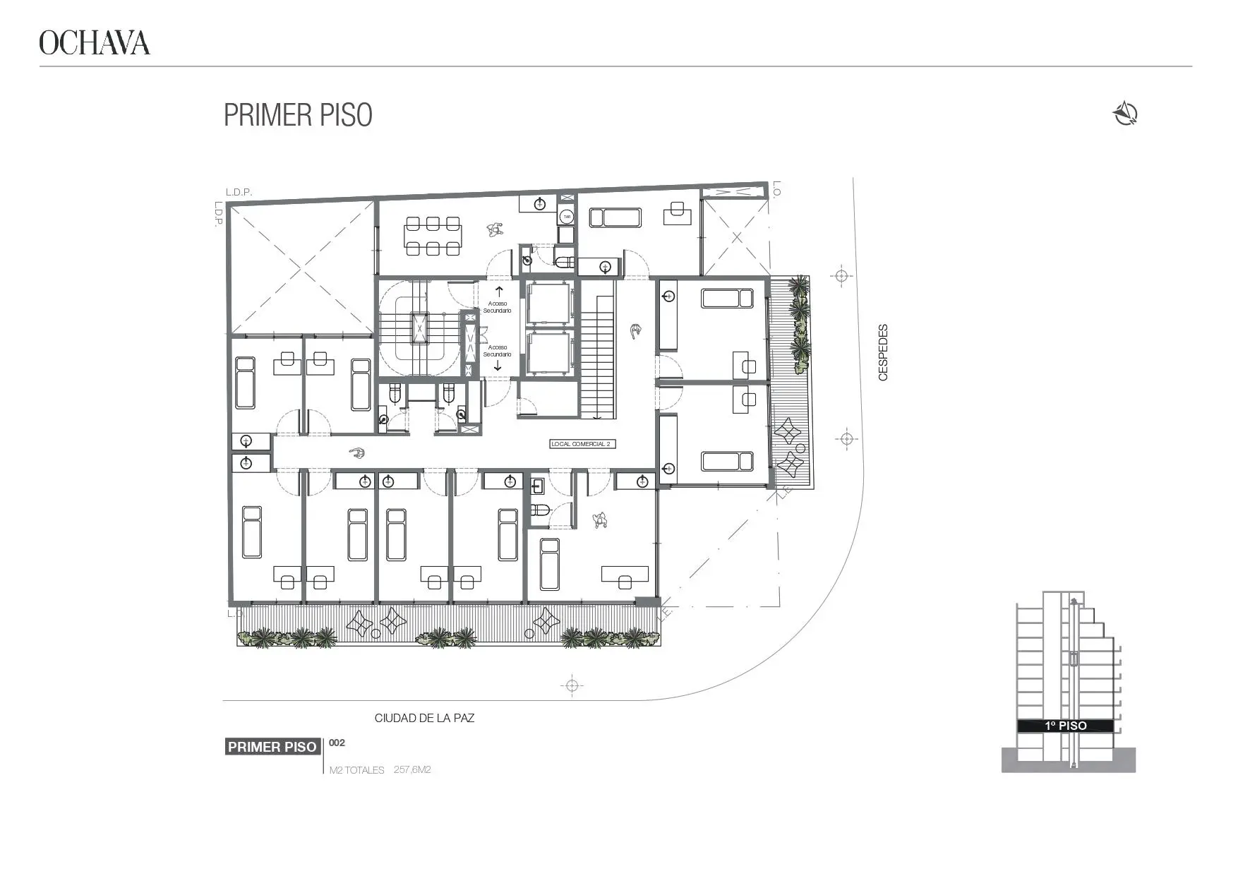 Plano del emprendimiento