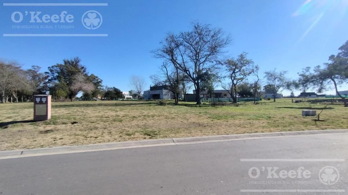 Imagen de la propiedad Unidad ZP 2161569