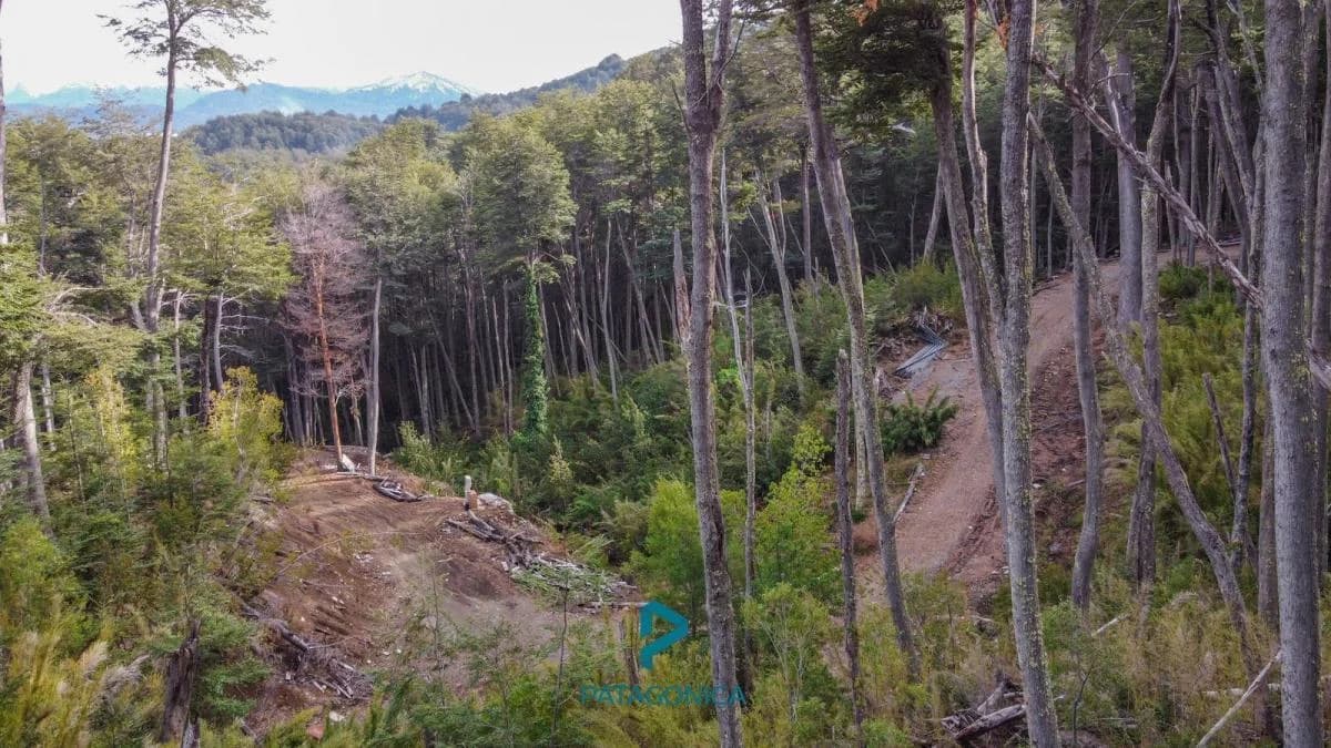 Imagen de la propiedad Unidad ZP 2170380