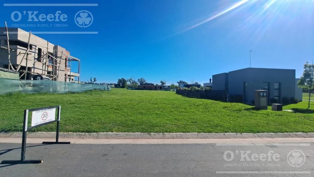 Imagen de la propiedad Unidad ZP 2161562