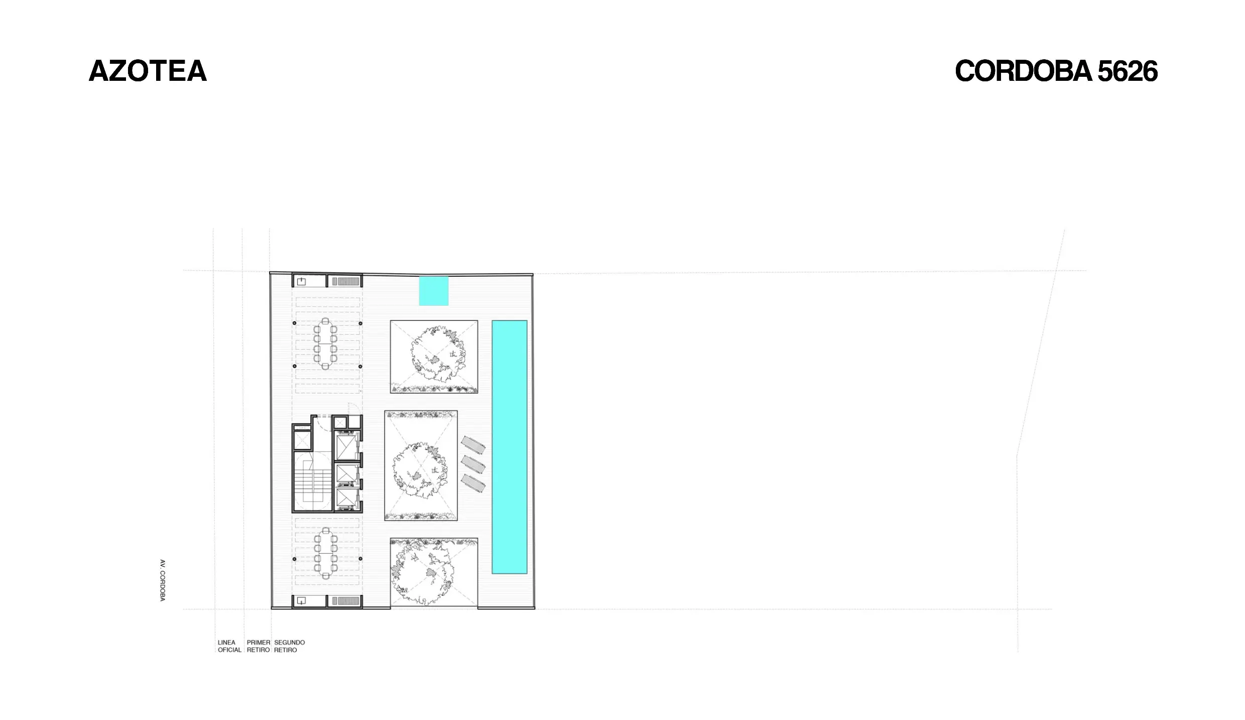Plano del emprendimiento