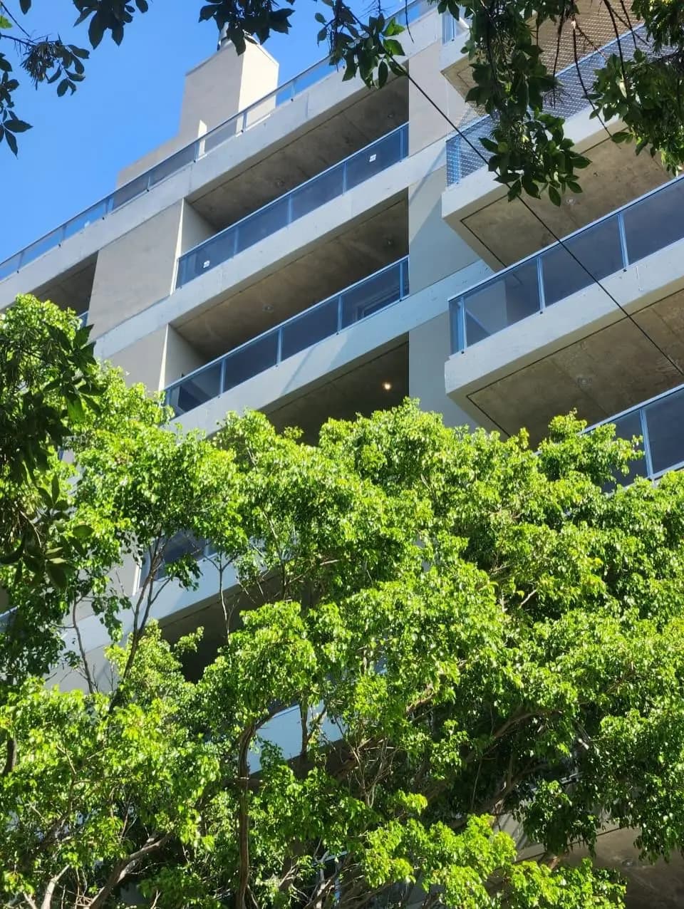 Imagen del emprendimiento VERTE - Charlone 1448