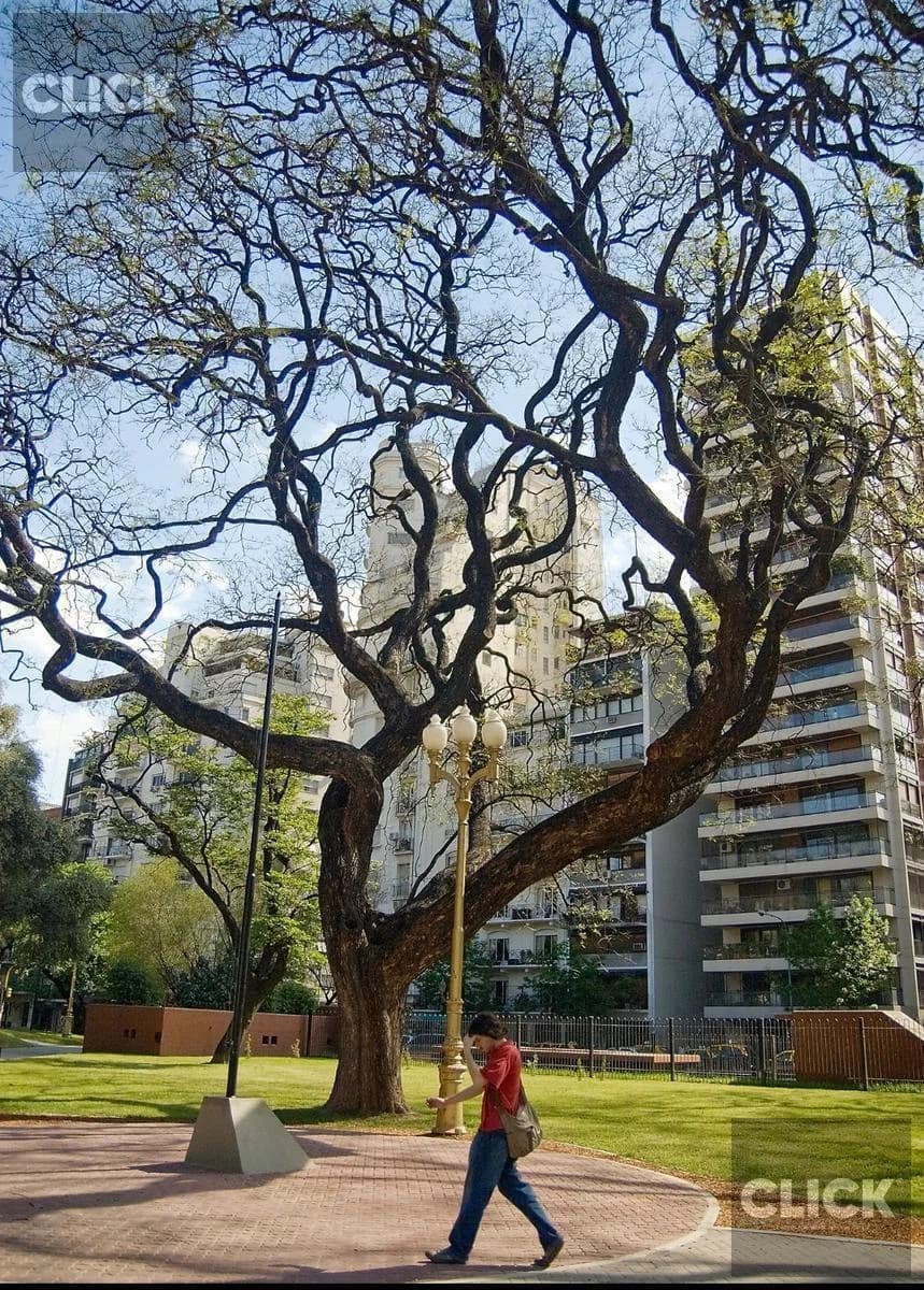 Imagen de la propiedad 4 ambientes ZP 2162827