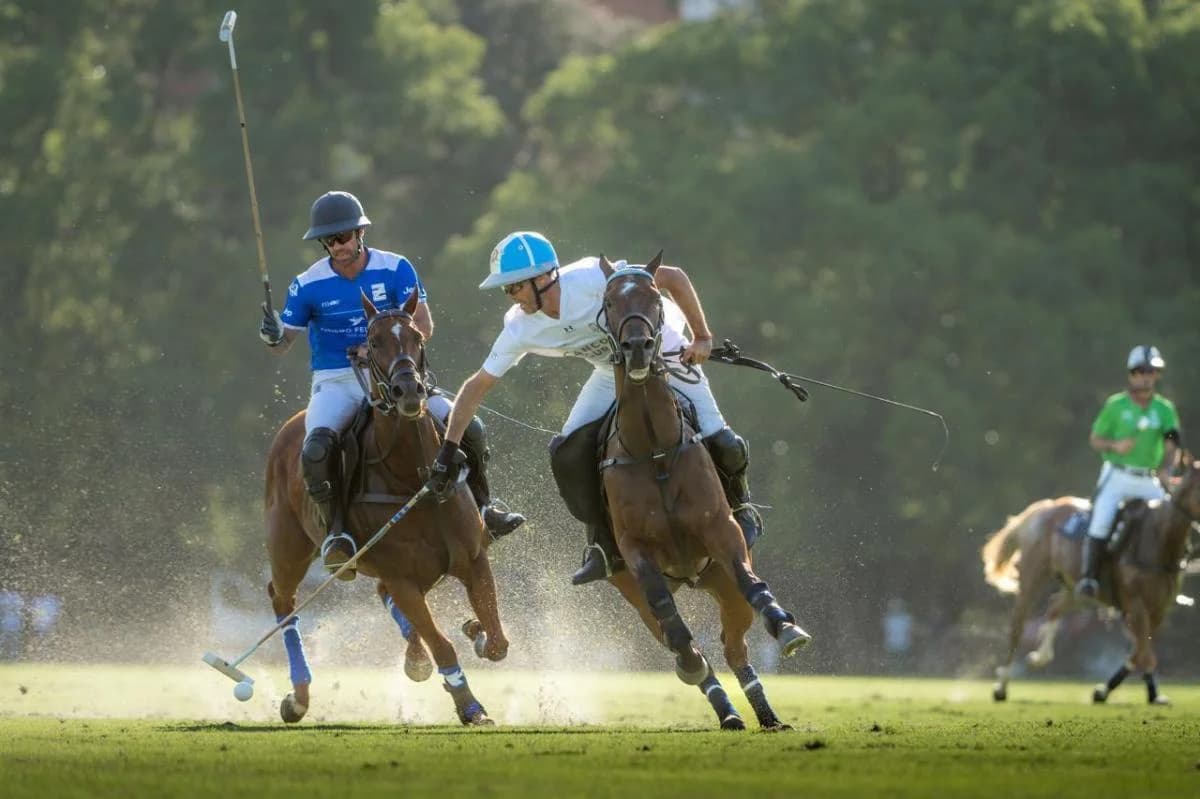 Imagen del emprendimiento La Dolfina Polo Ranch, Ruta 205 km 57, Cañuelas