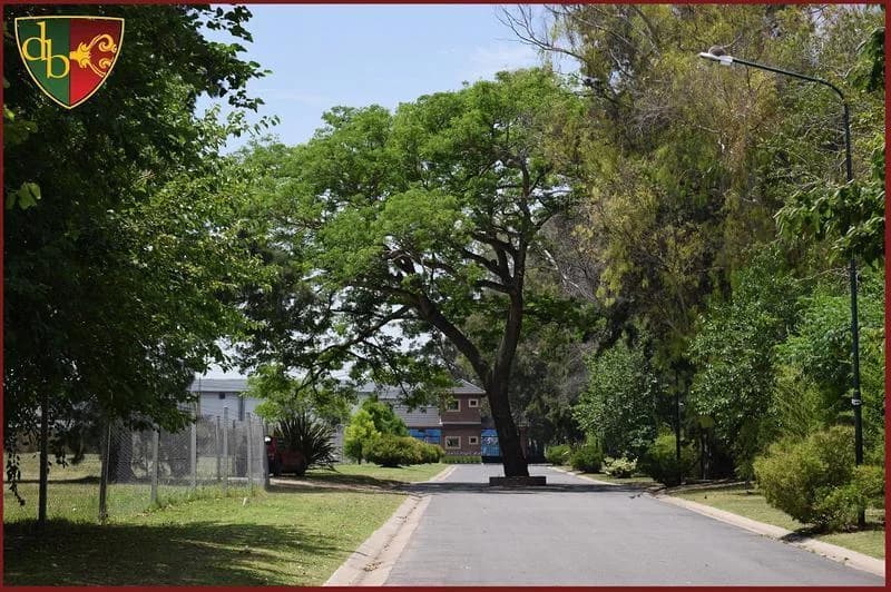 Imagen del emprendimiento Soler 590, Almirante Brown
