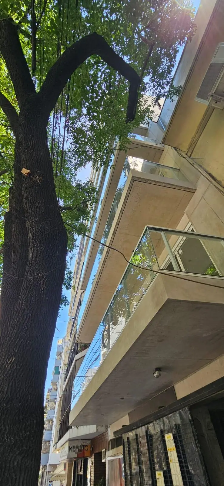 Imagen del emprendimiento VERA - Vera 885