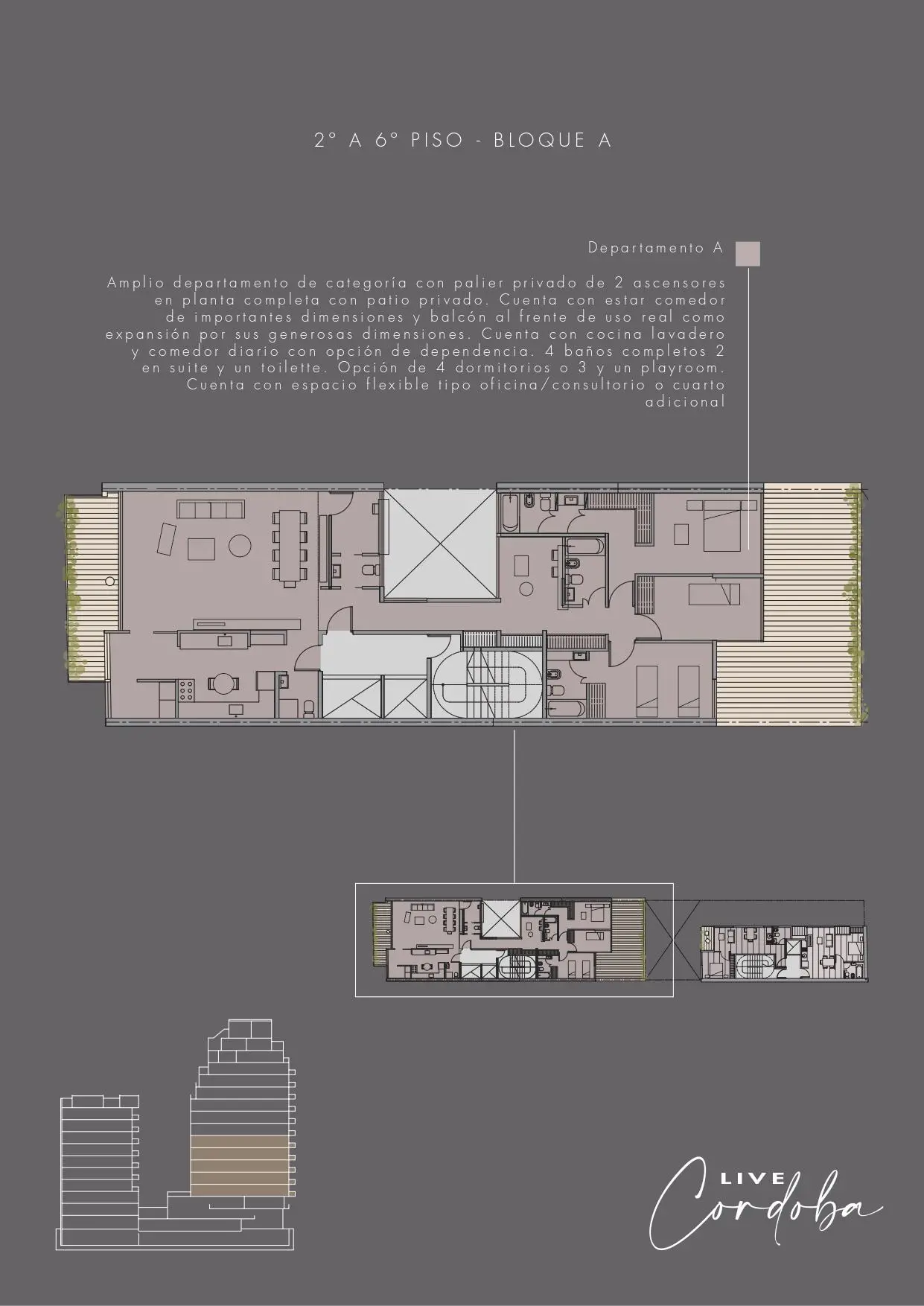 Planos del emprendimiento