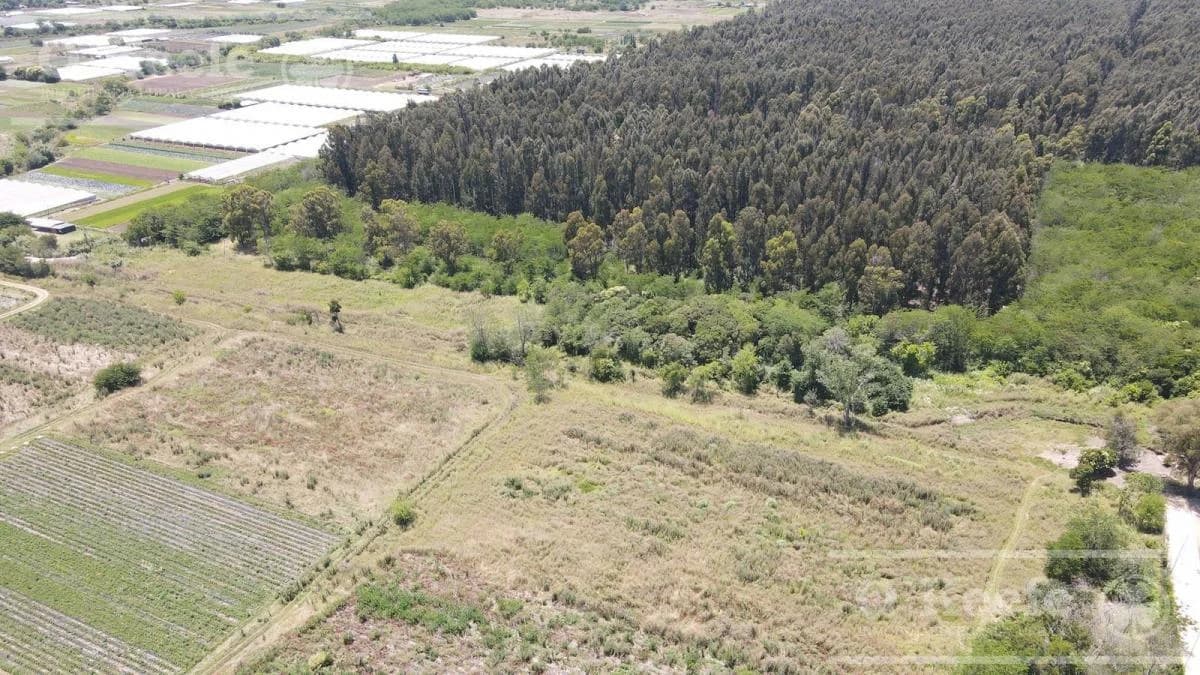 Imagen del emprendimiento Tierra de Robles 30 Has, Berazategui