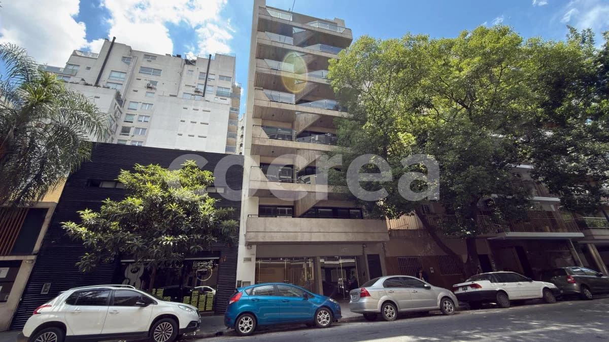Plano del emprendimiento