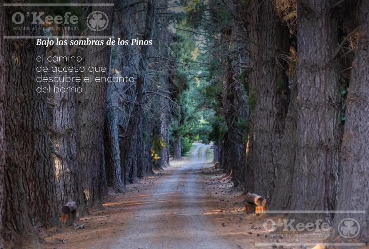 Imagen del emprendimiento Av. Exequiel Bustillo km 14, San Carlos de Bariloche