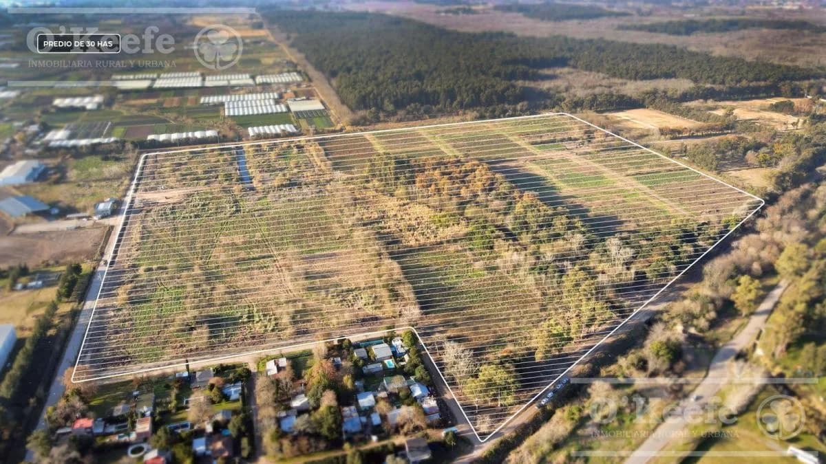 Imagen del emprendimiento Tierra de Robles 30 Has, Berazategui