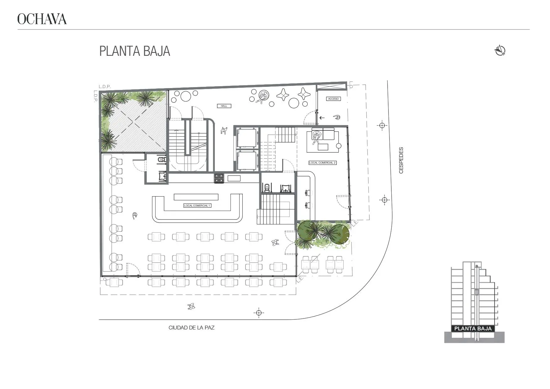 Plano del emprendimiento