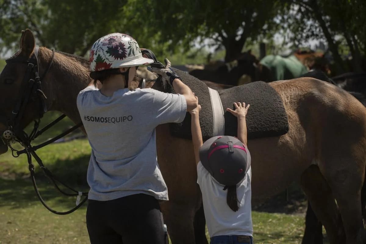 Imagen de la propiedad Unidad ZP 2165708