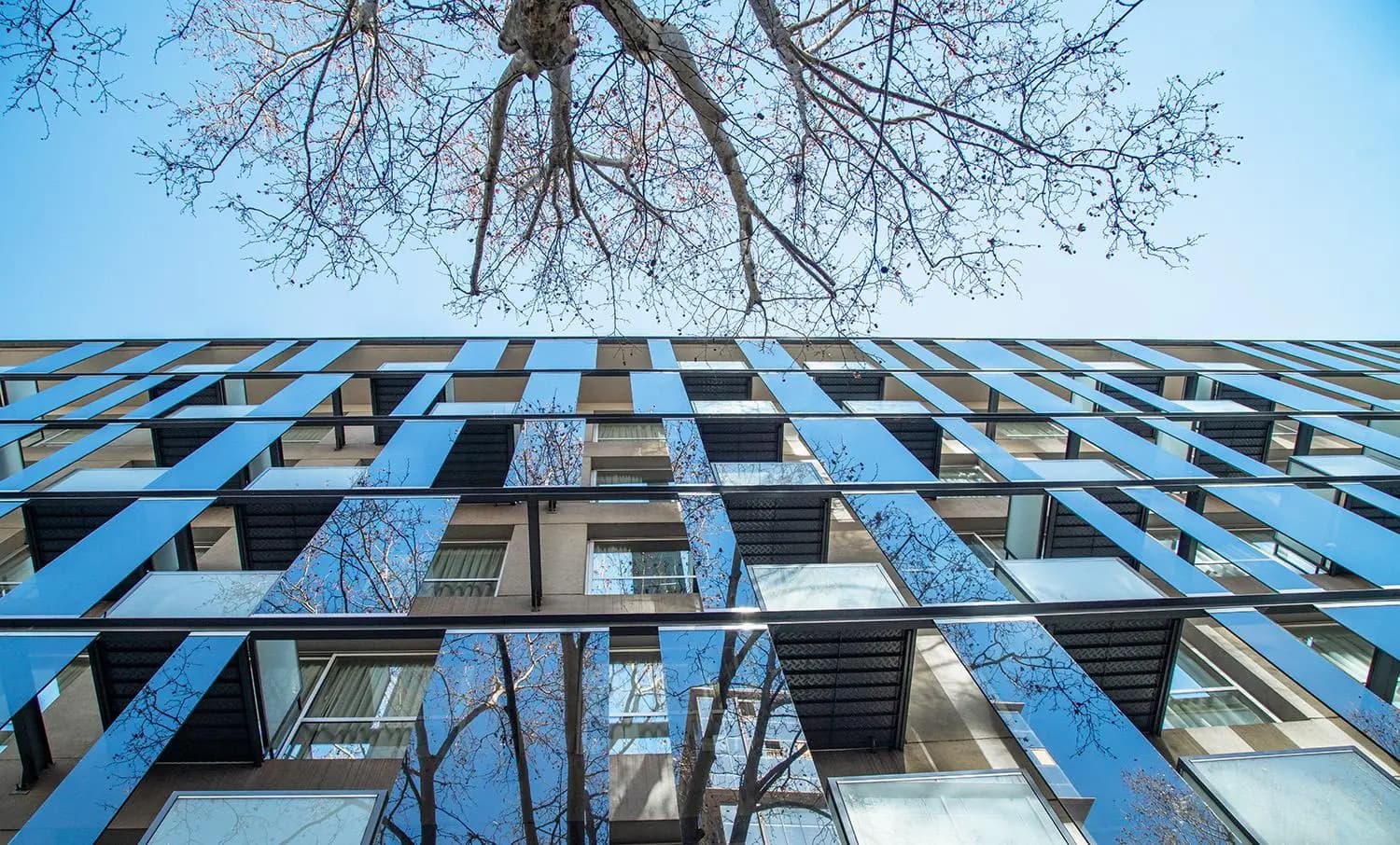 Imagen del emprendimiento en construcción