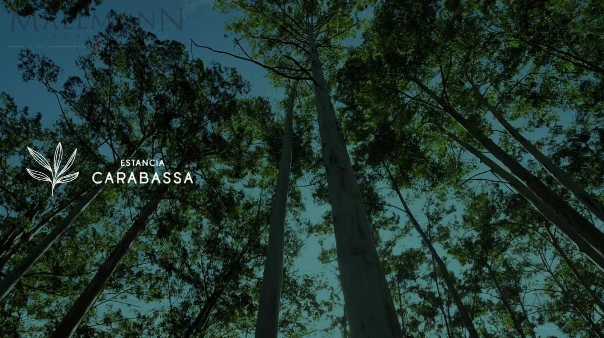 Imagen del emprendimiento Panamericana ramal Pilar km 56,5