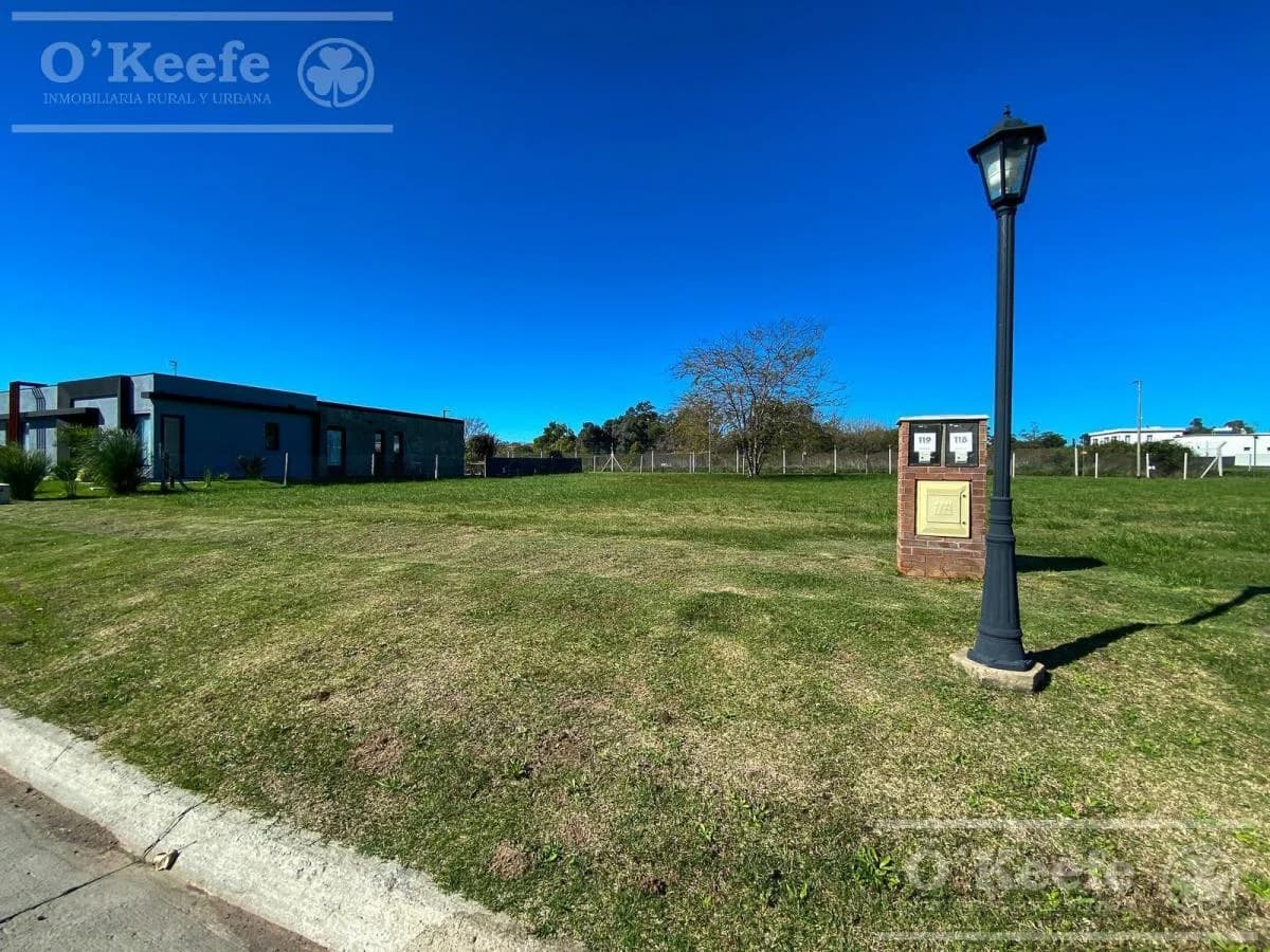 Imagen de la propiedad Unidad ZP 2161577