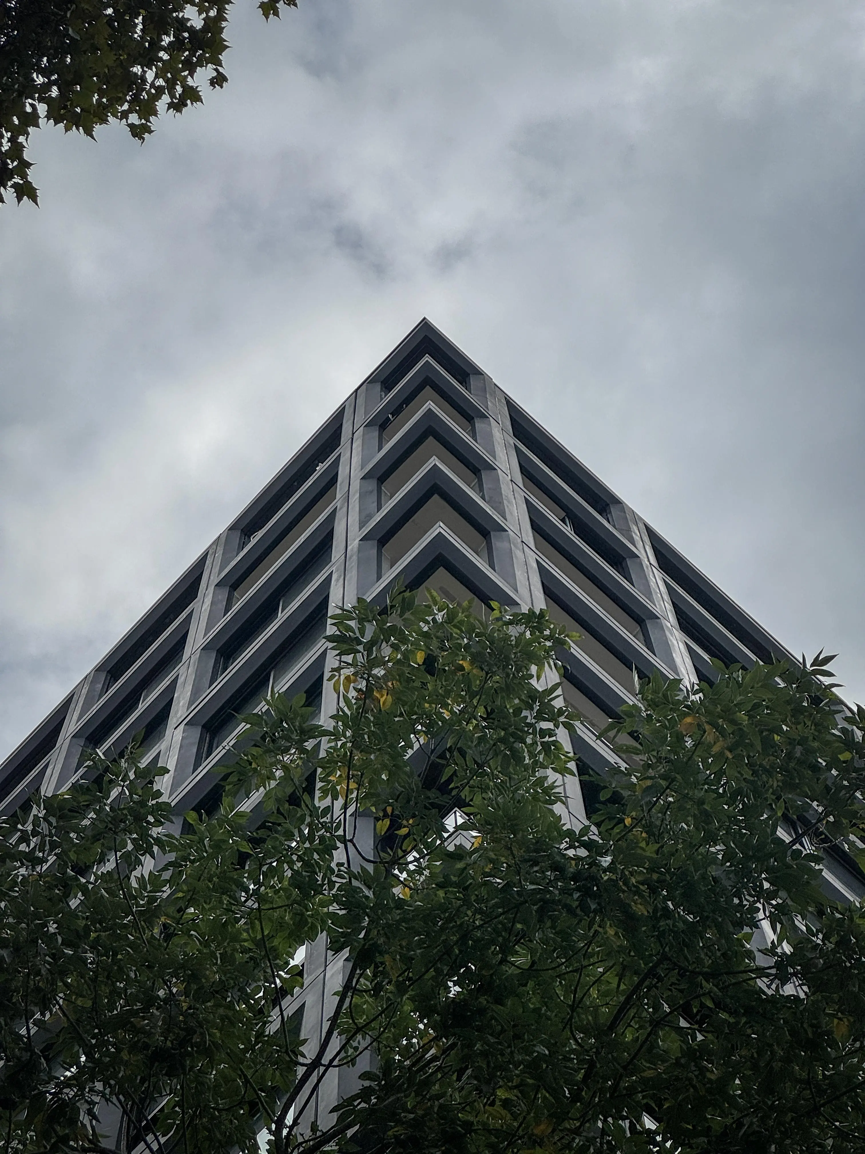 Imagen del emprendimiento en construcción