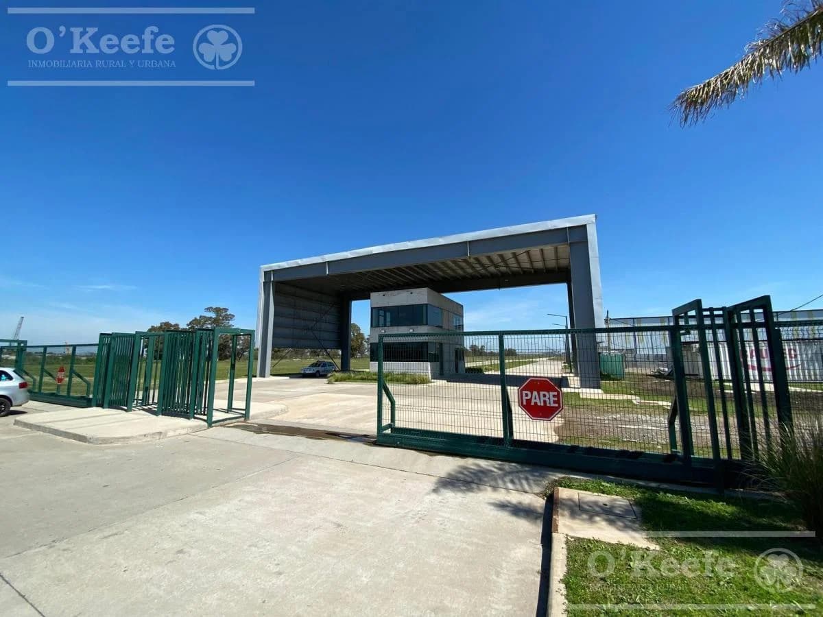 Imagen de la propiedad Unidad ZP 2160734